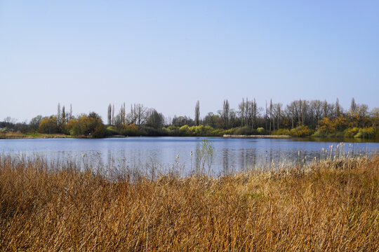 Lanstroper See near Dortmund. Landscape around the lake in winter.
