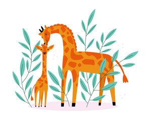 Vector flat illustration with cute giraffes on a white background. Mother's Day greeting card