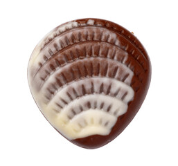 Top view of chocolate candy on white background