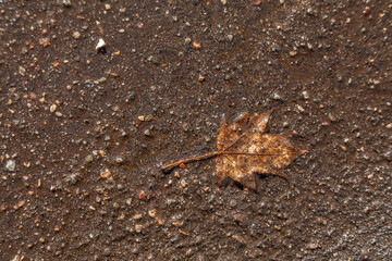 sheet on asphalt