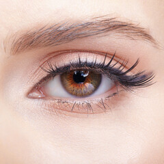 Obraz premium Closeup macro shot of human female eye with light pink eyes shadows