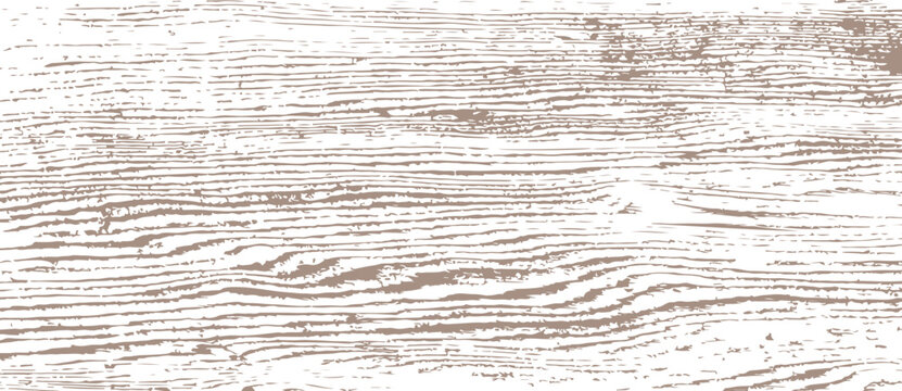 Background with texture of old wood