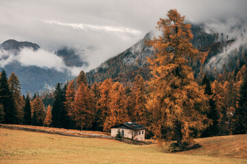 autumn in the mountains with old hut