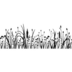 Seamless border with silhouette wildflowers grass. Vector black hand drawn illustration with summer flowers. Shadow of herb and plant. Nature field isolated on white background