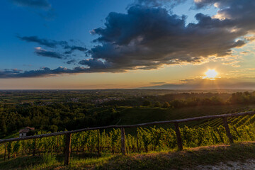 Colorful sunset in the vineyards of Savorgnano del Torre