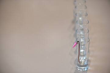 Purple flower bud in a glass on a gray background, the concept of clean minimalism and depth of field