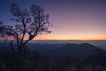 Obraz na płótnie Canvas Panorama of Beautiful scenery landscape sunset on mountain peak tropical rainforest. rainforest in the worm summer season at north of Thailand. Jurassic forest walk back to the Jurassic world.