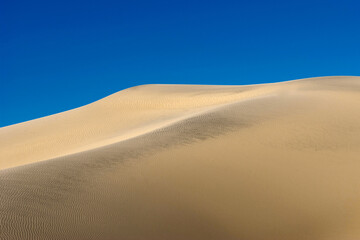 Desert landscape. Sand dunes under the blue sky. Traces of wind on the surface of the sand dune.