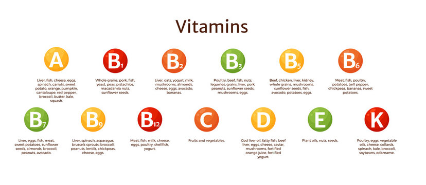Balanced diet diagram chart, vitamins and minerals table vector