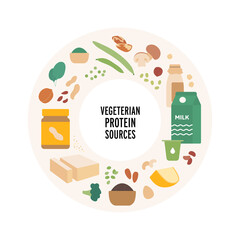 Food guide concept. Vector flat modern illustration. Vegaterian protein sources food plate infographic in circle frame. Colorful food icon set of vegetables, nuts, oats, mushroom and dairy products.