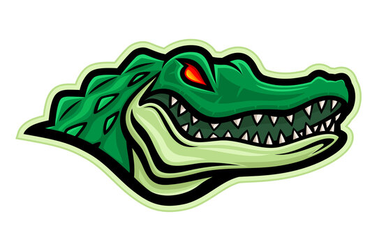 Green crocodile alligator icon on white background.