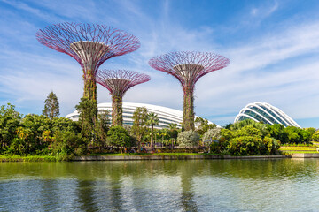Singapore, Singapore - June 8, 2019: Supertree of Gardens by the Bay in singapore. - obrazy, fototapety, plakaty