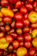 Different kinds of homegrown tomatoes, Assortment of tomatoes,  local farmers market, Fresh vegetables, Fresh harvest of  Red, yellow and orange tomato. Top view. .