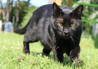 Blake dans son jardin