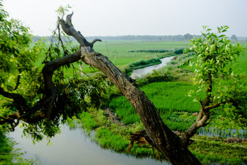 Land
