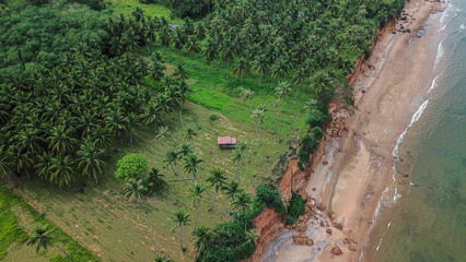 Aerial Red Cliffs Canyon With Red cliffs and coconut plantation