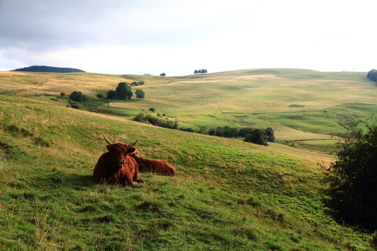 Le plateau du C&eacute;zallier en Auvergne