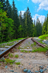 Beautiful picturesque railway in the mountains between green trees.