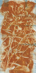 Sunprinted wildflowers in sepia on fabric