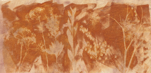 Sunprinted wildflowers on fabric in sepia