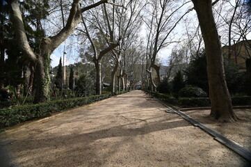 Atardecer en jardín romántico