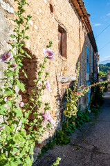 Fototapeta na wymiar Street in a village in Provence with old houses