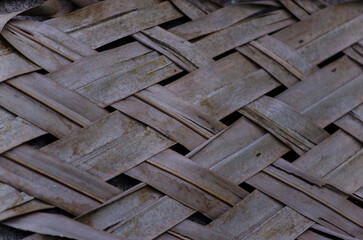 Beautiful texture pattern nature