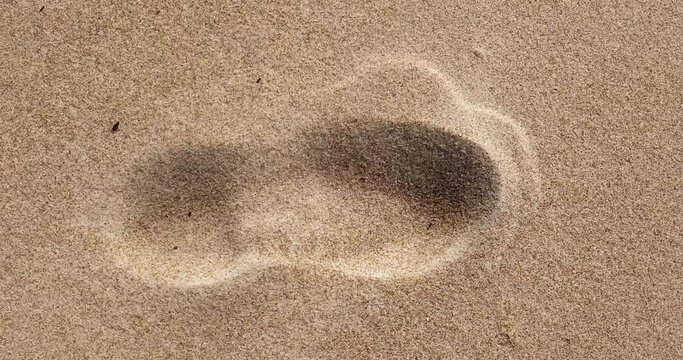 footstep in the sand, strong wind covering the footstep fast