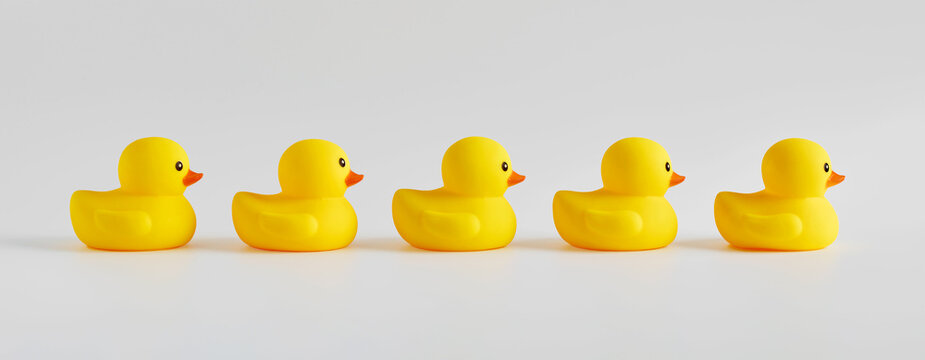 Yellow Rubber Ducks Arranged In A Row On White Background