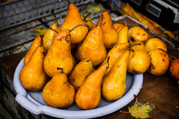 Yellow ripe pears close up. Pears harvesting time in Ukraine. Pears sold on the market.