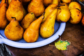 Yellow ripe pears close up. Pears harvesting time in Ukraine. Pears sold on the market.