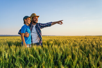 Father and son are standing in their growing wheat field. Father is teaching his successor about...