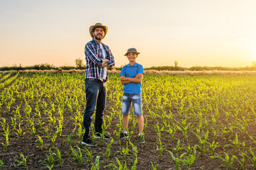 Family farmers are standing in their growing corn field. Father and son in their agricultural field.