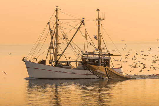 Fischkutter auf der Nordsee fischt mit Schleppnetz,  B&uuml;sum, Schleswig-Holstein, Deutschland