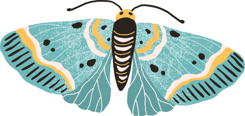 Gekleurde afbeelding van vlinder of mot