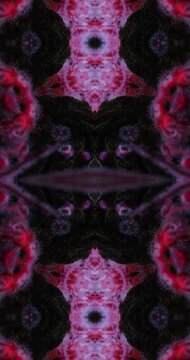Nature marine kaleidoscope effect simmetrical.
Organic surrealism footage