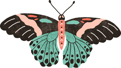 Beautiful Butterfly Colored Illustration