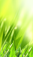 Sunny spring background with green grass. Vertical summer banner with  leaves on abstract greenery backdrop