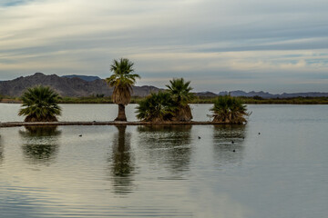 A beautiful overlooking view of nature in Yuma, Arizona