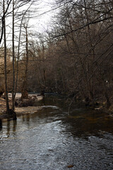 Floodplain forest is a bottomland, deciduous or deciduous-conifer forest community occupying low-lying areas adjacent to streams and rivers of third order or greater, and subject to periodic over-the-