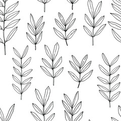 Roses Flowers black line pattern. Vector sketch of flowers. 