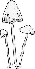Mushroom or Fungus Hand Drawn Line Art Illustration © Good Studio