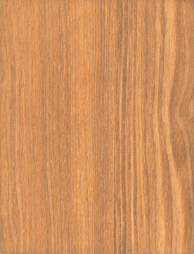 Wood texture background