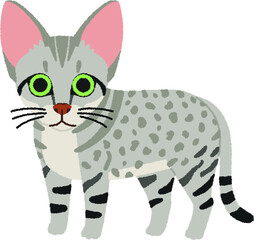 Obraz na płótnie Canvas オリエンタルショートヘアの猫イラスト