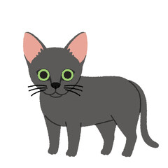 コラットの猫イラスト