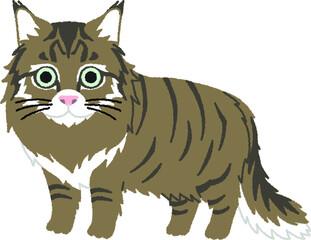 ノルウェージャンフォレストキャットの猫イラスト
