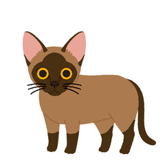 バーミーズの猫イラスト