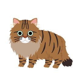 サイベリアンの猫イラスト