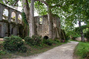 Paimpol. Allée d'arbres le long des ruines de l'ancien réfectoire de l'abbatiale de l'abbaye de Beauport. Côtes-d'Armor. Bretagne	
