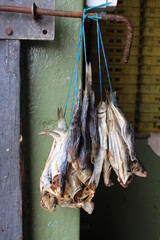 Close up of dried fish West Coast South Africa hanging in bunches